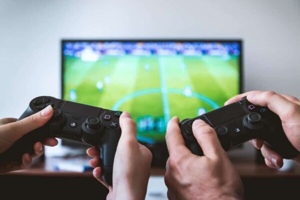 How a Passion for Video Gaming Matches Gamers with Each Other